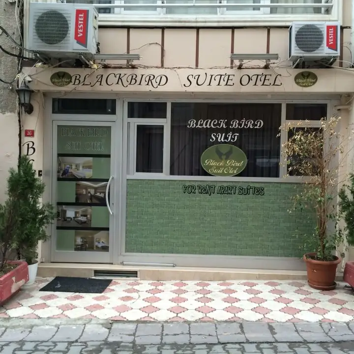 Стамбул: Black Bird Suite Hotel