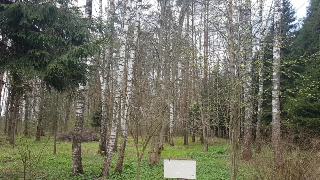 Клин: Дилижанс