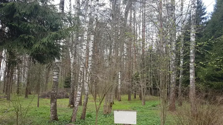 Клин: Дилижанс
