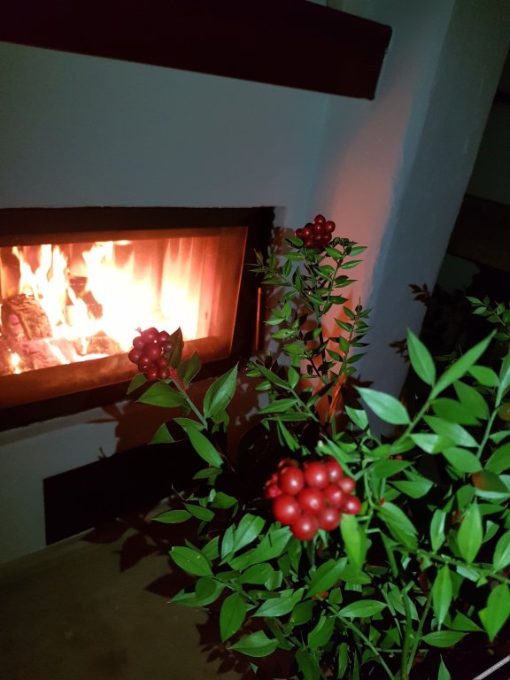 Чешме: Rebetiko Hotel