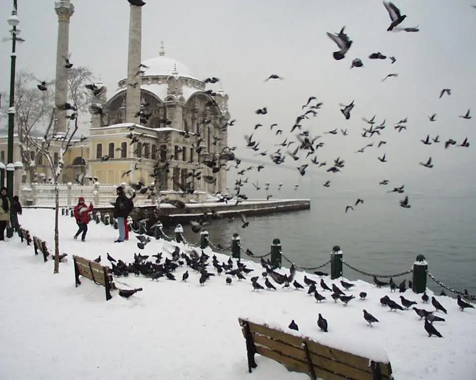 RoyalStar Taksim Family Suites — фото 1
