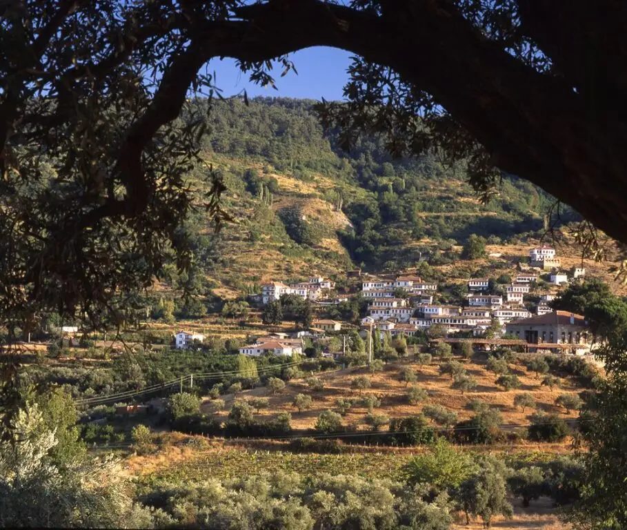 Шириндже: Hotel Sirince Evleri