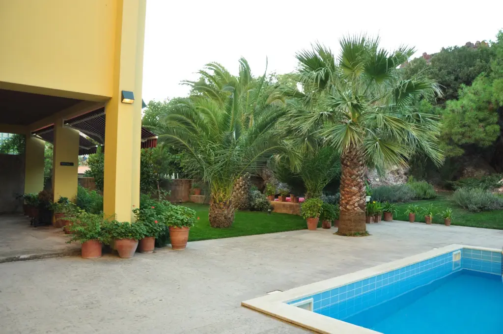 Айвалык: Palm Court Suites