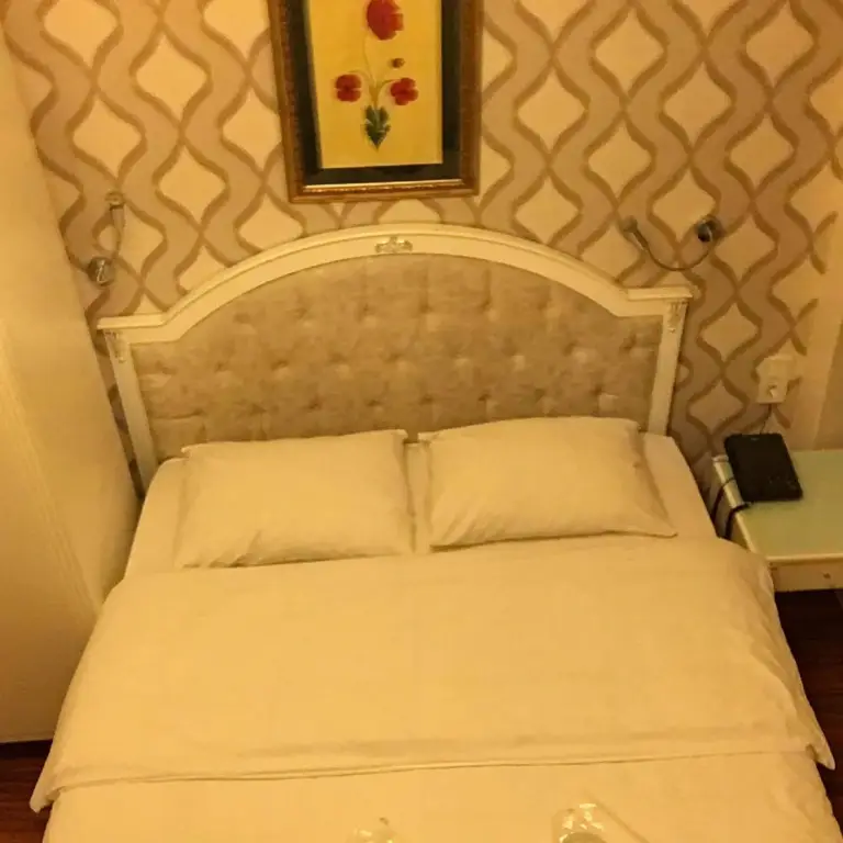 Стамбул: Peteks Hotel