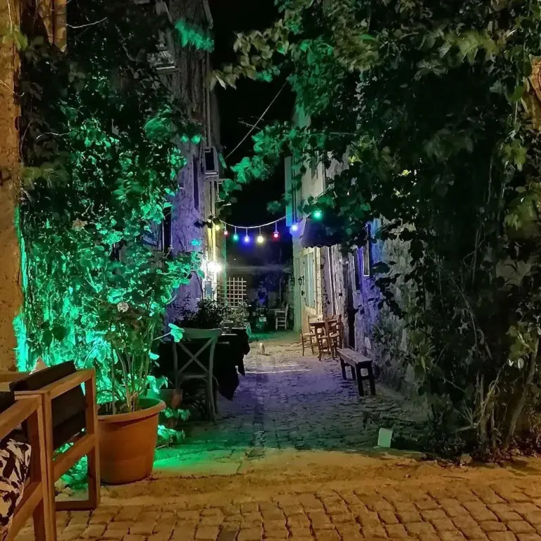 Чешме: Nergis Misafirevi Butik Otel