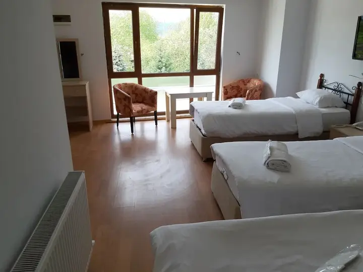 Сакарья: The Hotel Sapanca