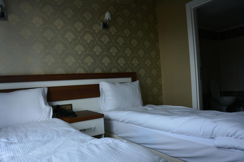 Карс: Kafkasya Hotel