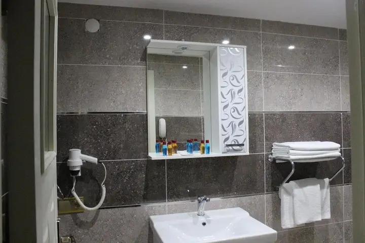 Сакарья: Celik Saray Hotel