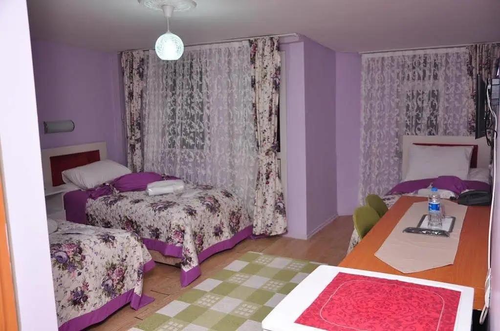 Бурса: Hotel Guler
