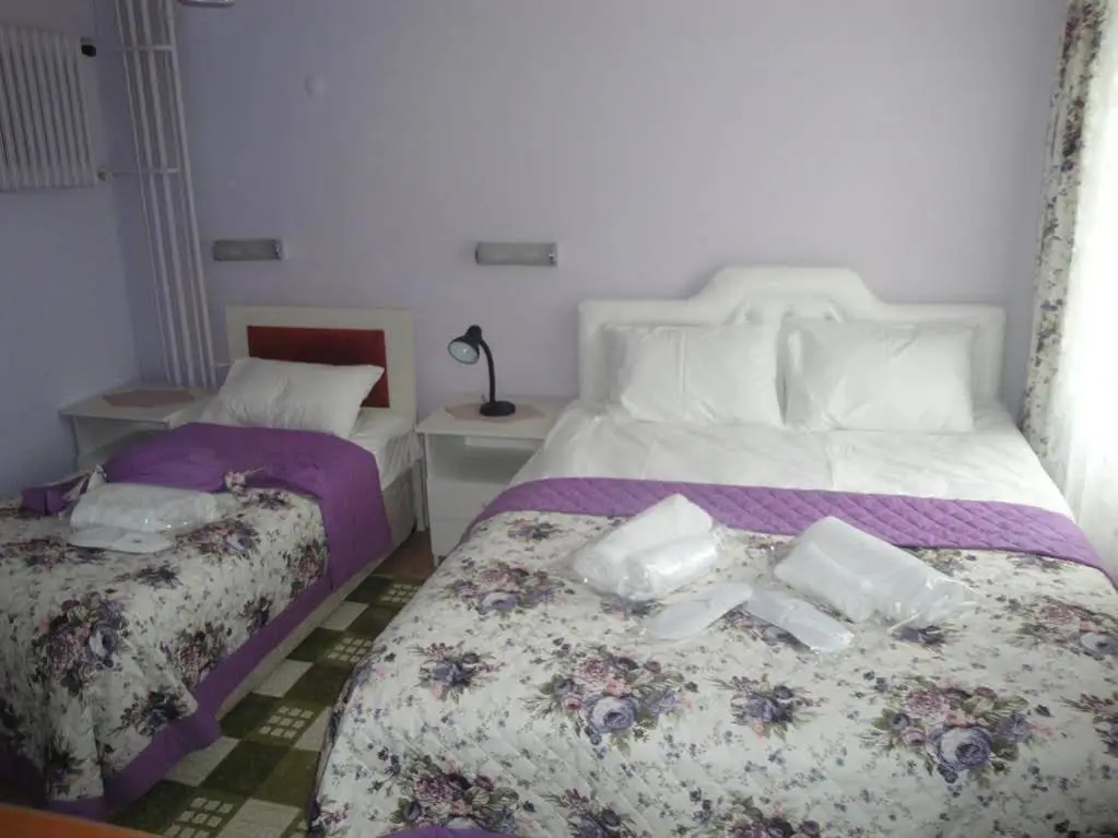 Бурса: Hotel Guler