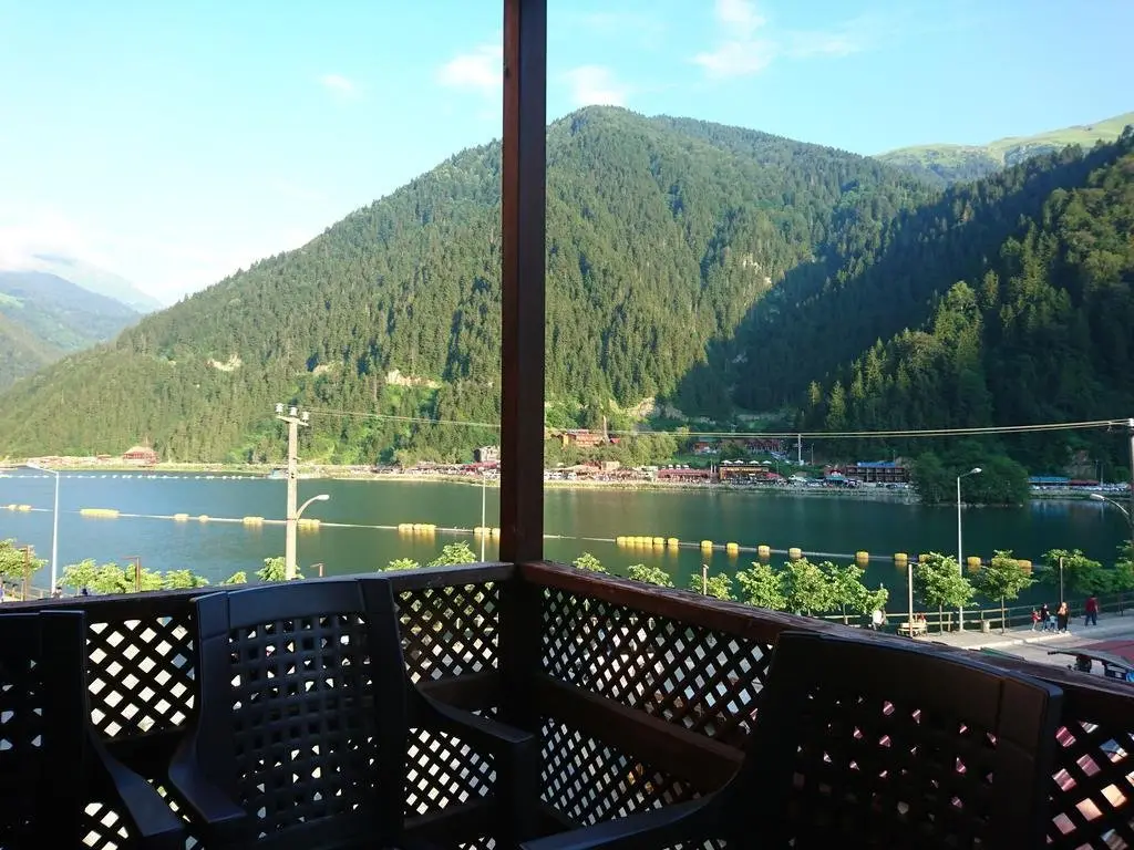 Uzungol Kusva Apart — фото 1