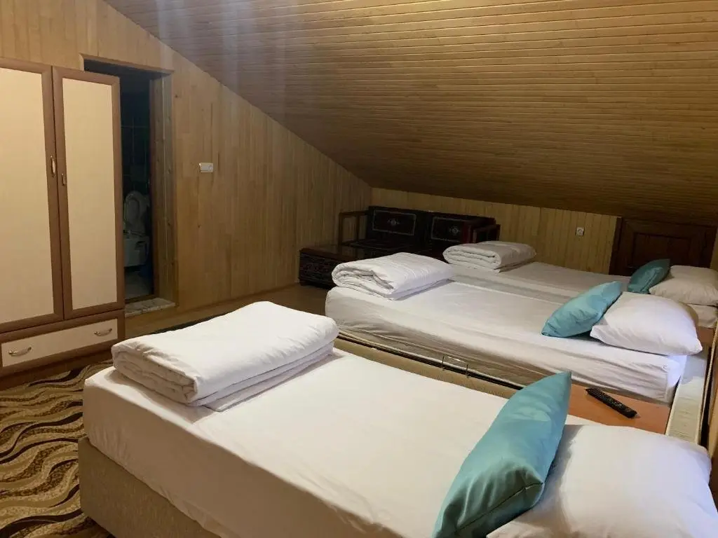 Узунгёль: Danis Motel