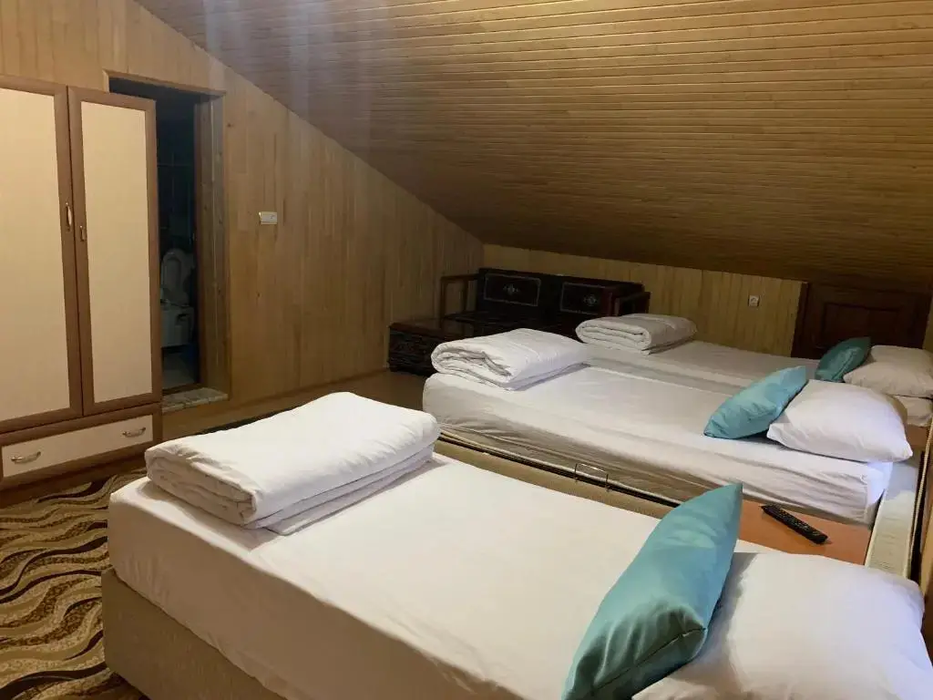 Узунгёль: Danis Motel