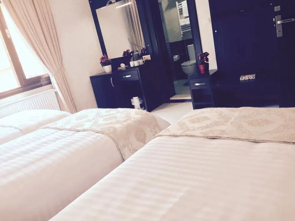 Бурса: Tala Boutique Hotel