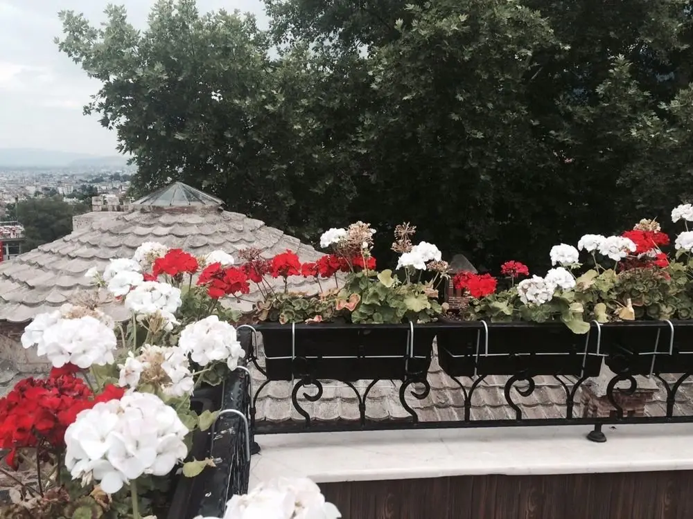 Бурса: Tala Boutique Hotel