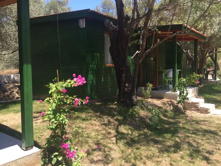 Датча: Отель My Bungalov