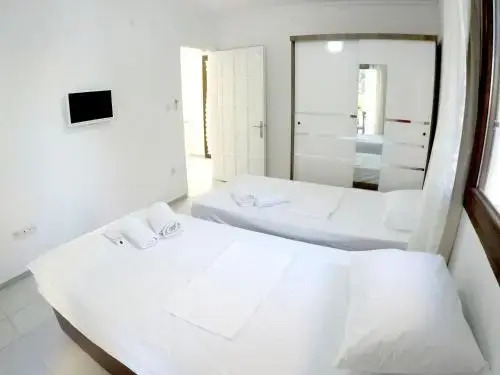 Бодрум: Villa Seray