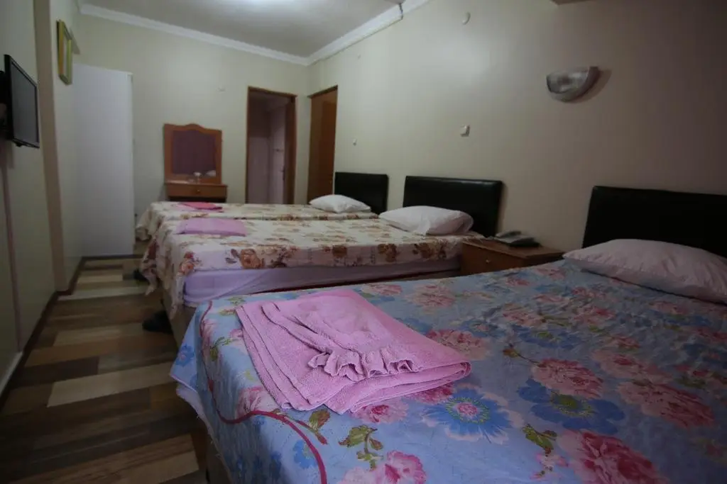 Корлу: Istanbul Hotel Corlu