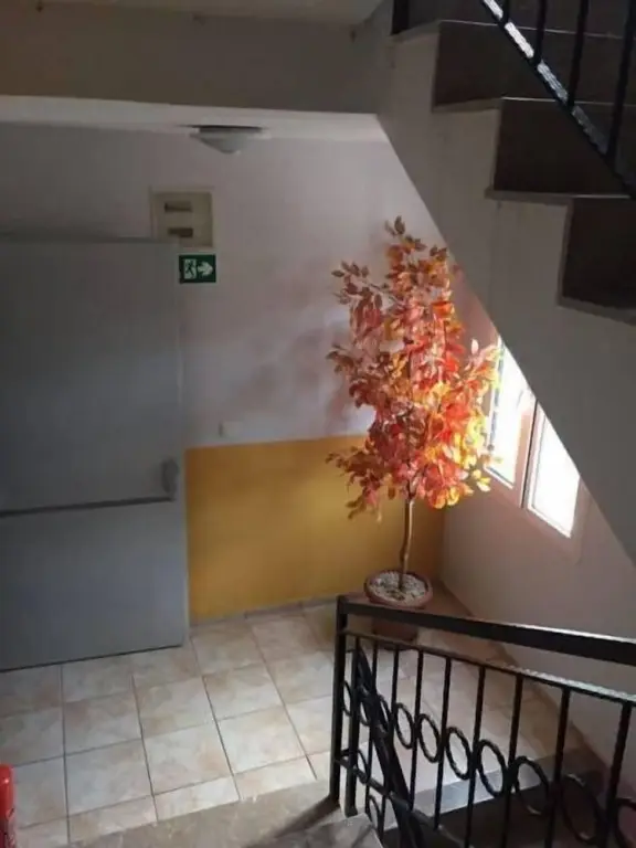 Сыгаджик: Selis Otel
