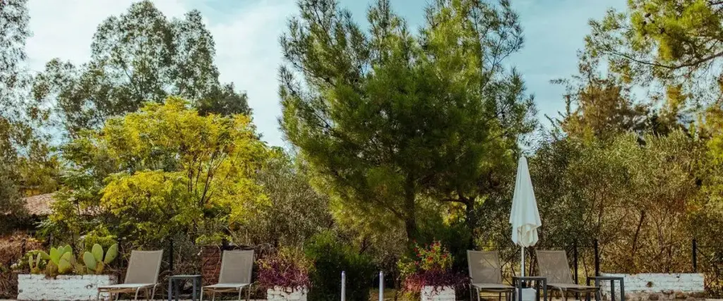 Кумлуджа: Eski Yeni Tatil Evi