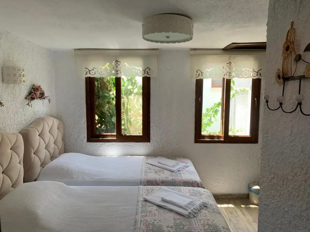 Сыгаджик: Sigacik Villa Teos Konuk Evi