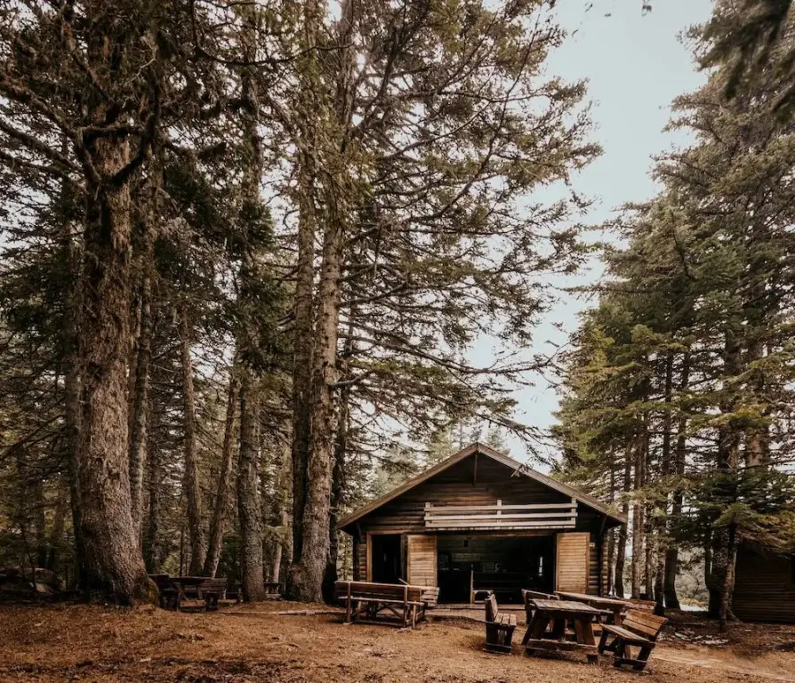 Karinna Forest Houses — фото 1