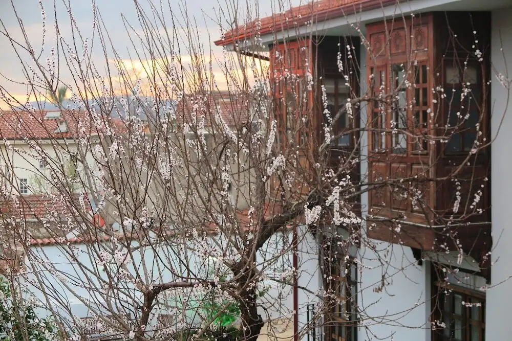 Сельчук: Ephesus Paradise