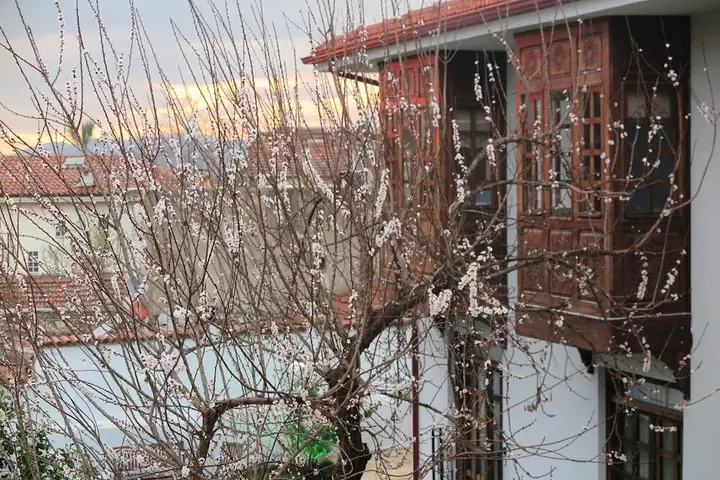 Сельчук: Ephesus Paradise