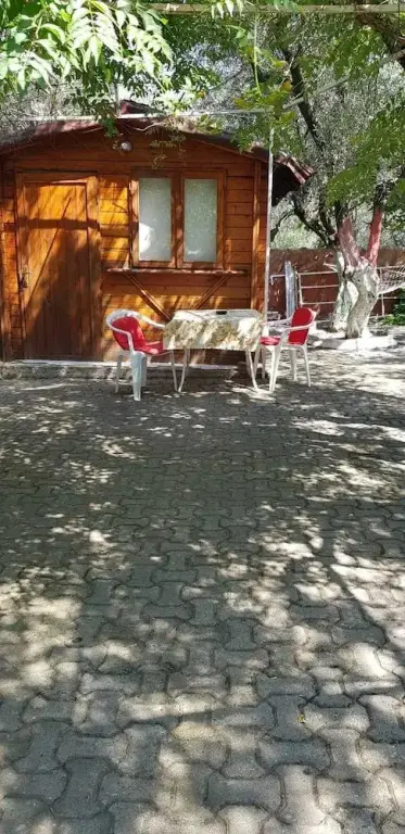 Мармара: Erdek Oliva Havuzlu Pansiyon