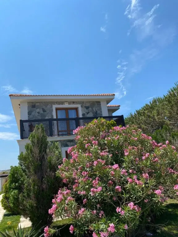 Бозджаада: Siesta Otel Bozcaada