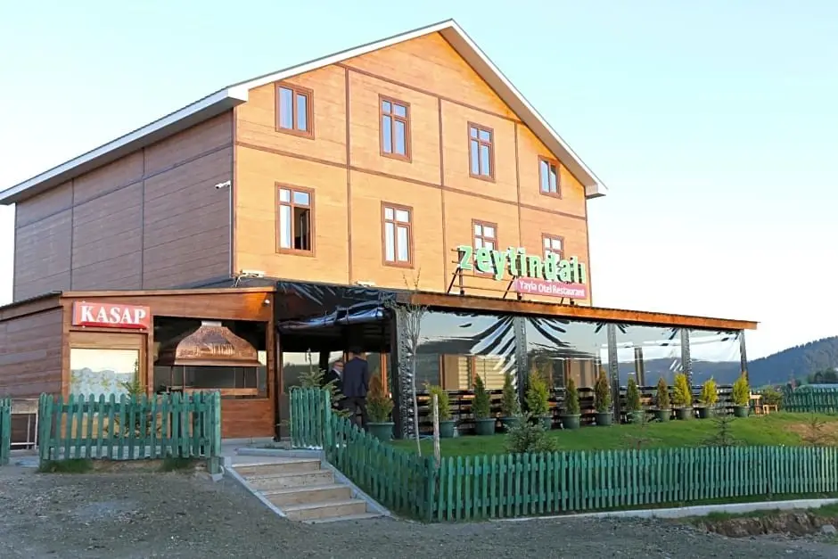 Трабзон: Zeytindalı Yayla Hotel
