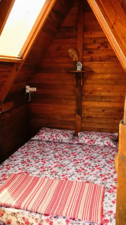 Сыгаджик: Teos Sanat Kampi