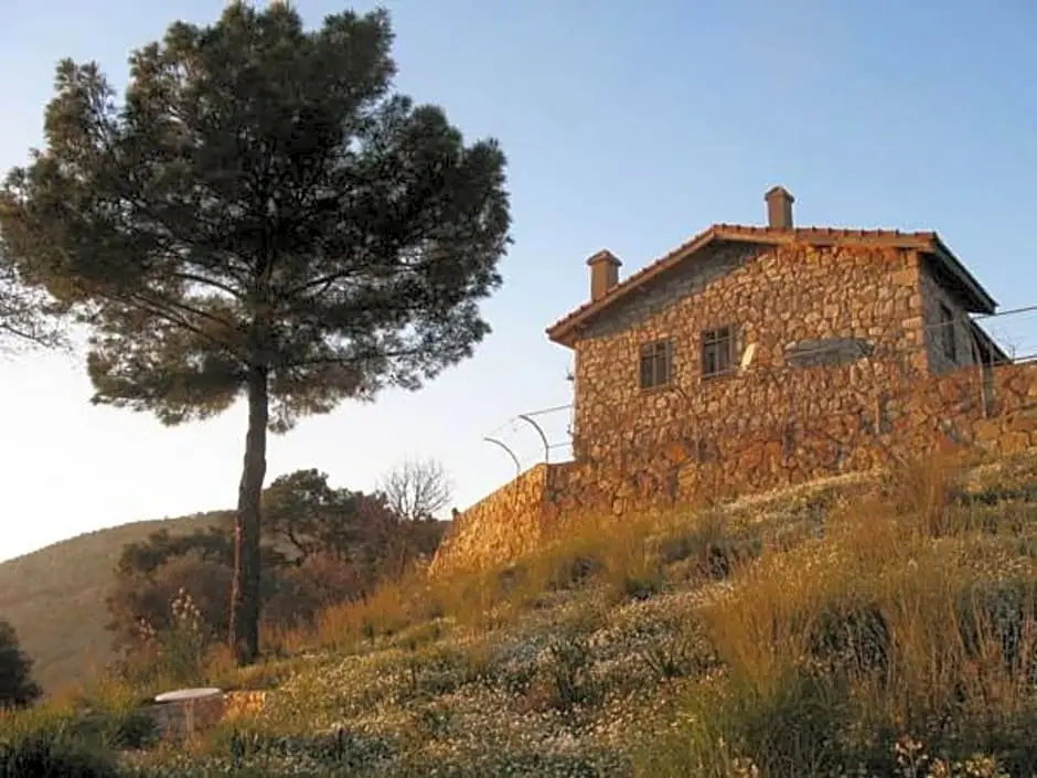 Даламан: Palm House Dalyan
