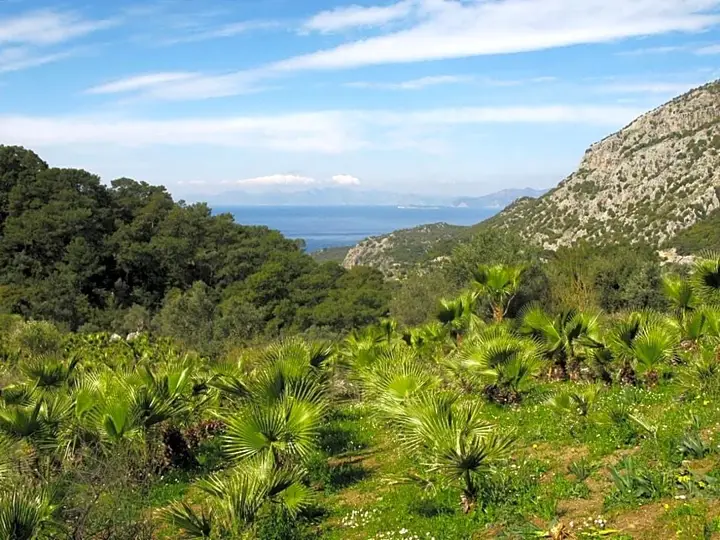 Даламан: Palm House Dalyan