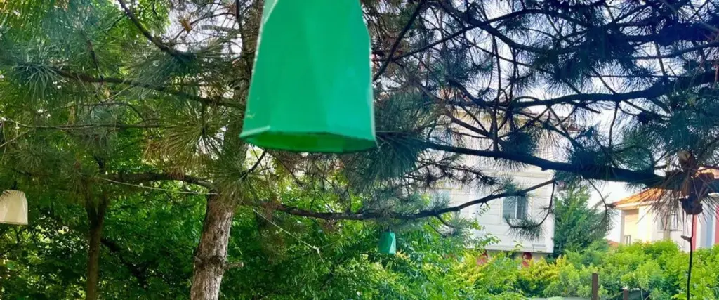 Болу: Bolu Otel