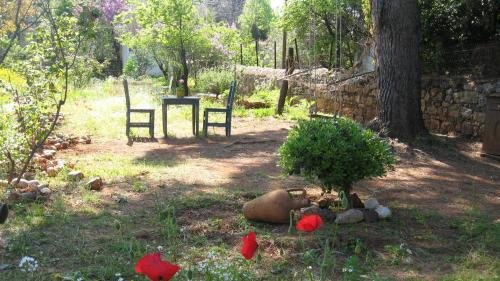 Айвалык: Ayvalik Dostlar Pansiyon