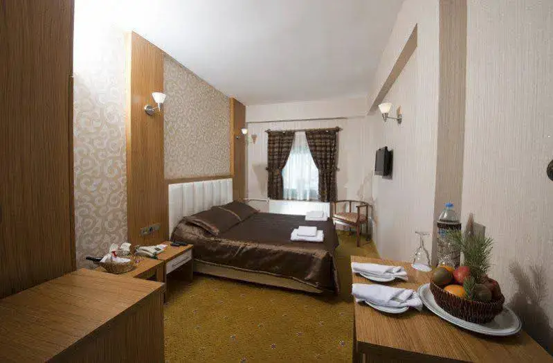 Сарыкамыш: Hotel Camkar Sarikamis