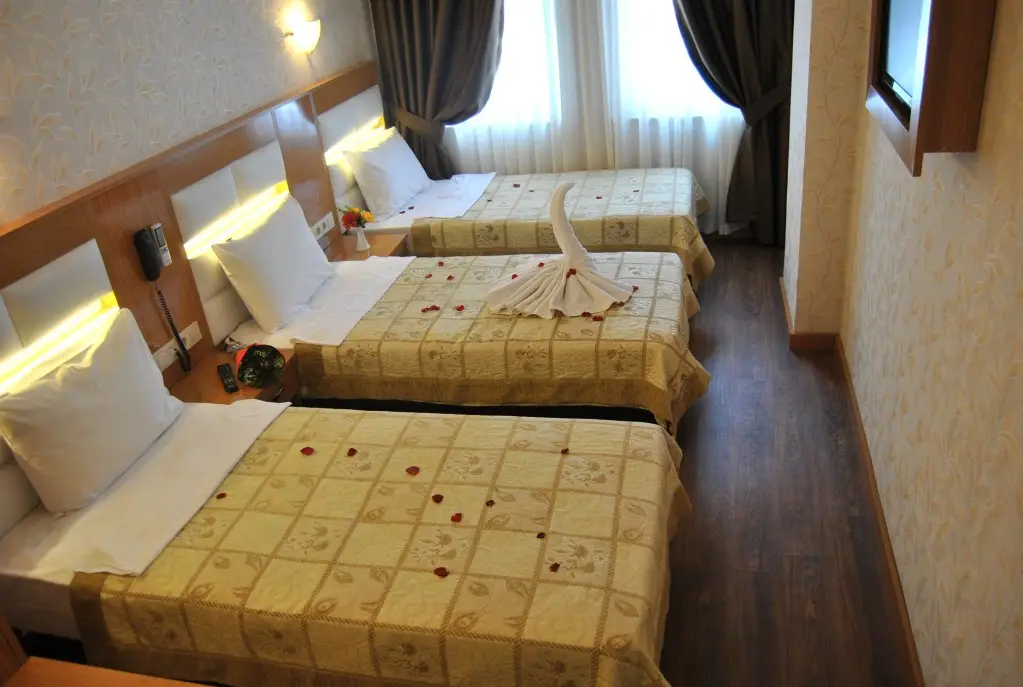 Стамбул: Star Park Hotel