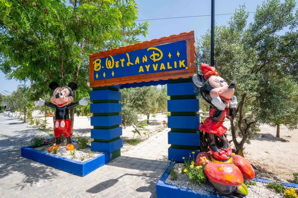 Simlarda Aquapark Otel — фото 1