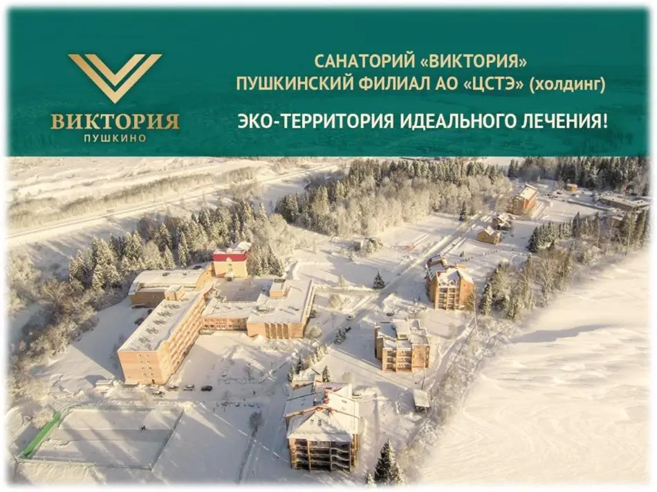 Пушкино: Санаторий Виктория
