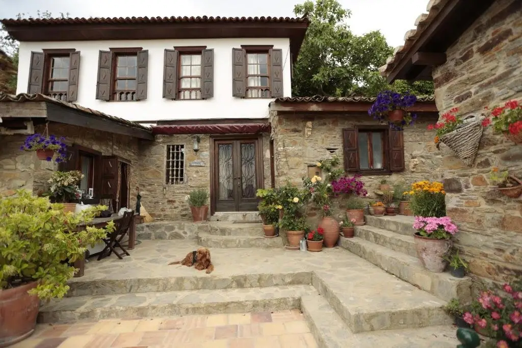 Шириндже: Terrace Houses Sirince - Fig, Olive and Grapevine