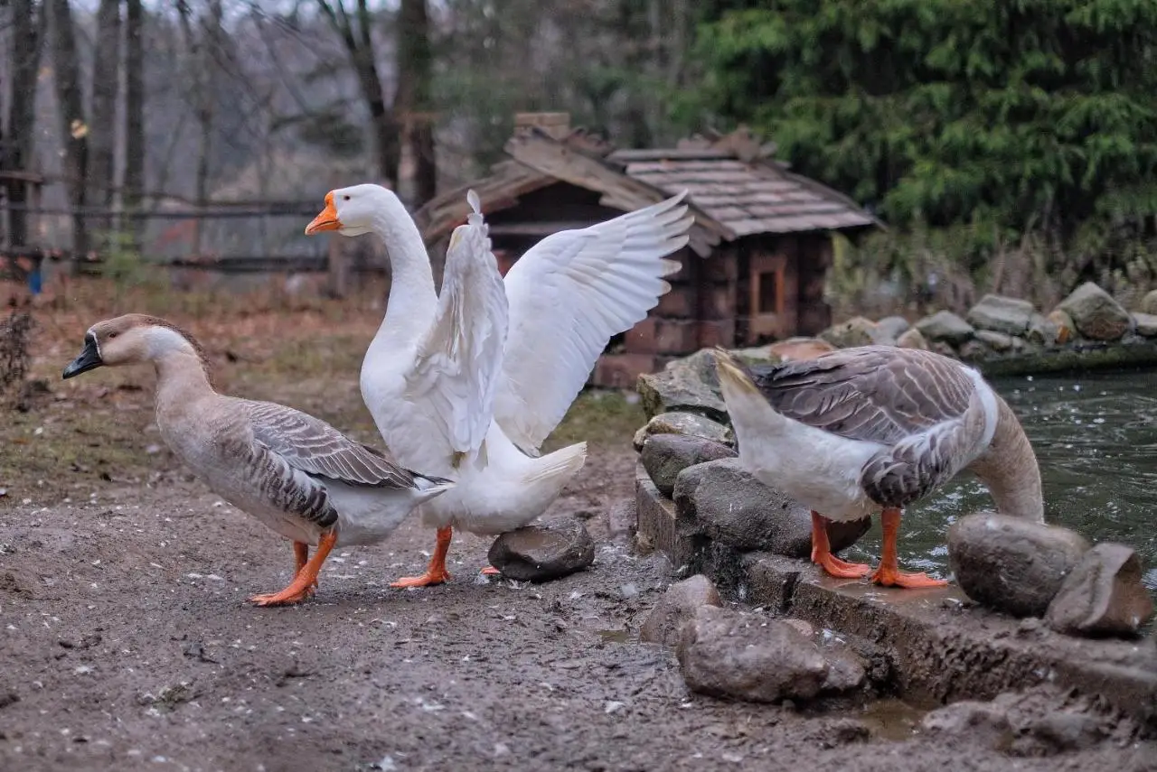 Трусово: Usadba Rybatskoye (Dom Rybaka) (Estate Fishing (House of the fisherman)