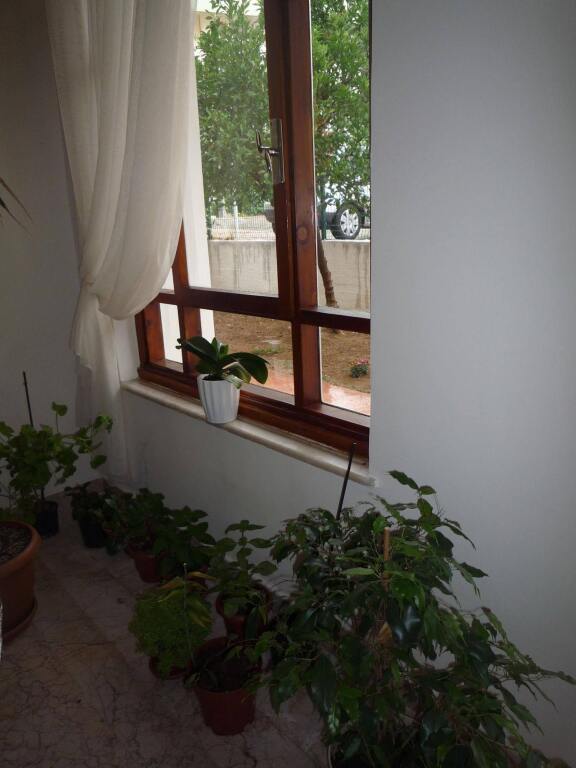 Анталья: Pinus Otel