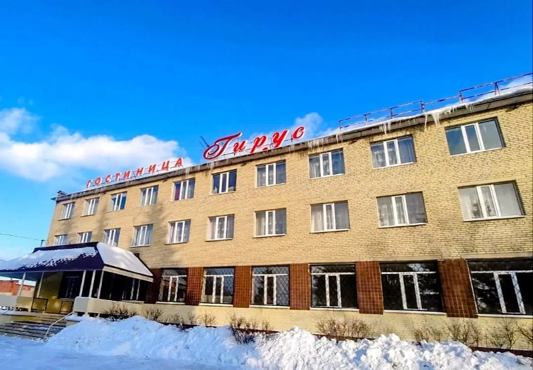 Ногинск: Гирус