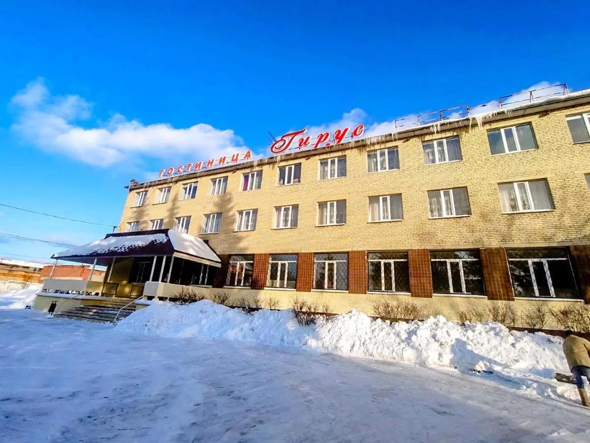 Ногинск: Гирус