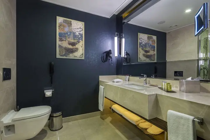 Стамбул: DoubleTree by Hilton Istanbul Topkapi