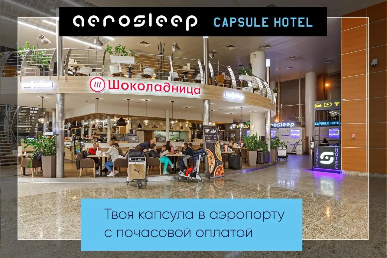 Химки: aerosleep Terminal D-общая зона
