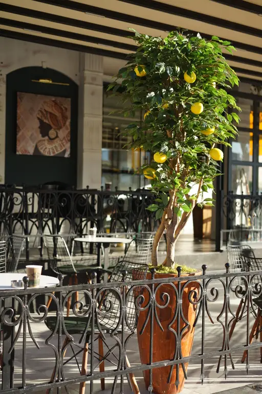 Силифке: Отель Limon Inn Hotel, Tasucu