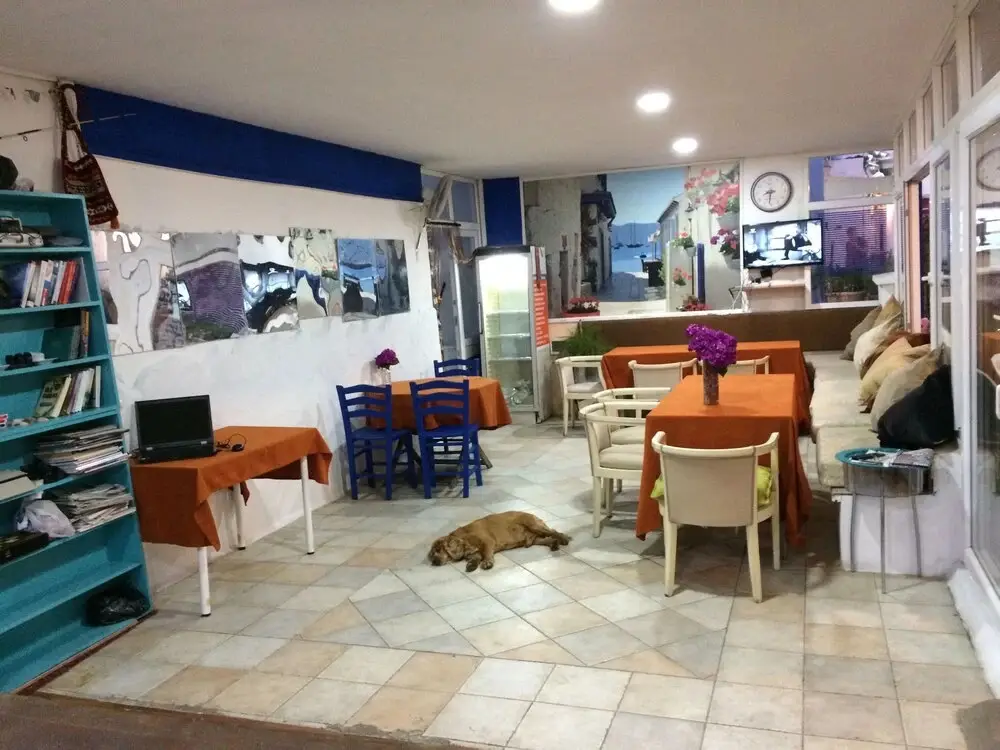 Бодрум: Gozde Deniz Hotel