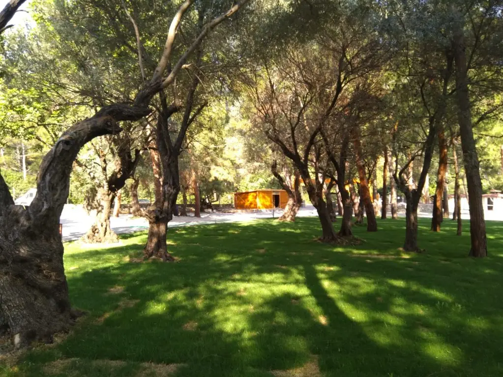 Фетхие: Апартаменты Green Pine Beach Bungolows Luxury Concept